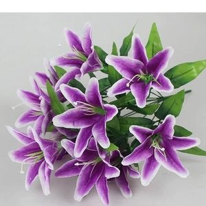 Meet your Posher, Jacqueline